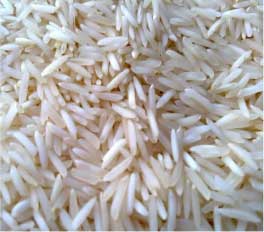 Manufacturers Exporters and Wholesale Suppliers of Sugandha Steam Rice Nagpur Maharashtra